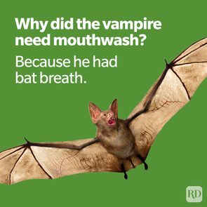 A bat flies with open wings on a green background, accompanied by a vampire mouthwash joke: 