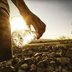 13 Facts You Probably Never Knew About Gold