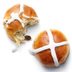 Pioneer Woman's Hot Cross Buns Recipe