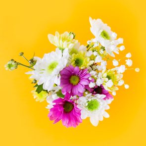 A vibrant bouquet of white, pink, and yellow flowers sits against a bright yellow background.