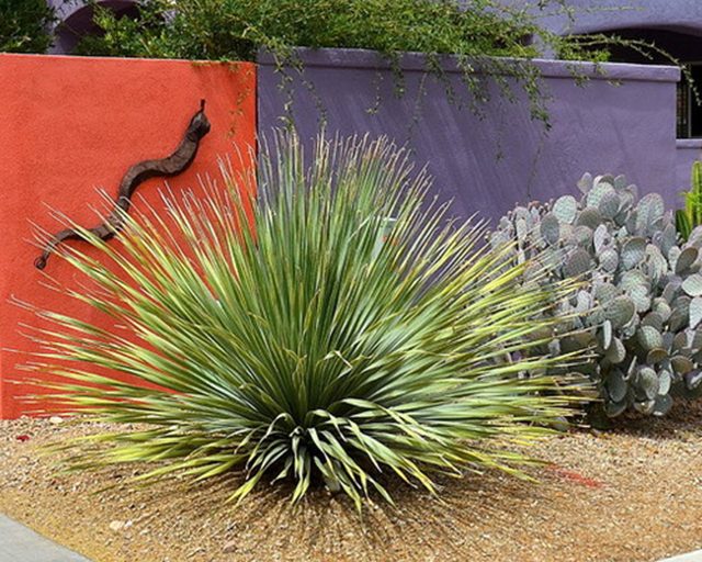 Outdoor-Color-3