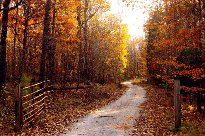 fall in alabama