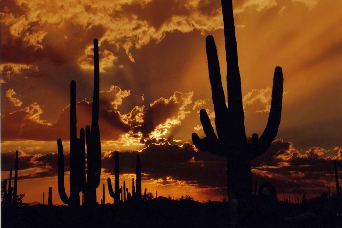fall in arizona