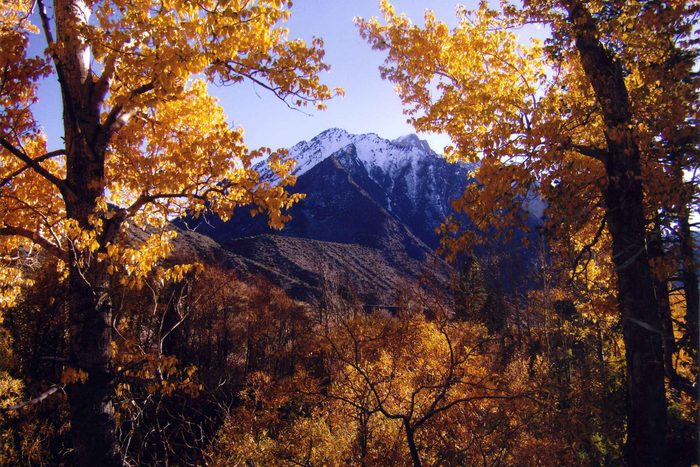 fall in california
