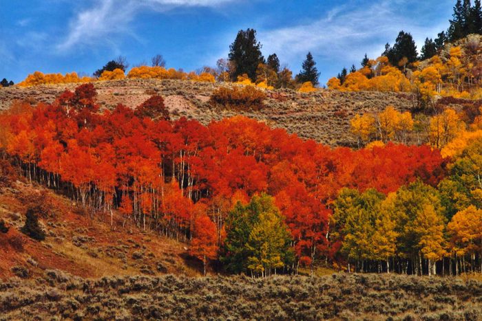 fall in idaho