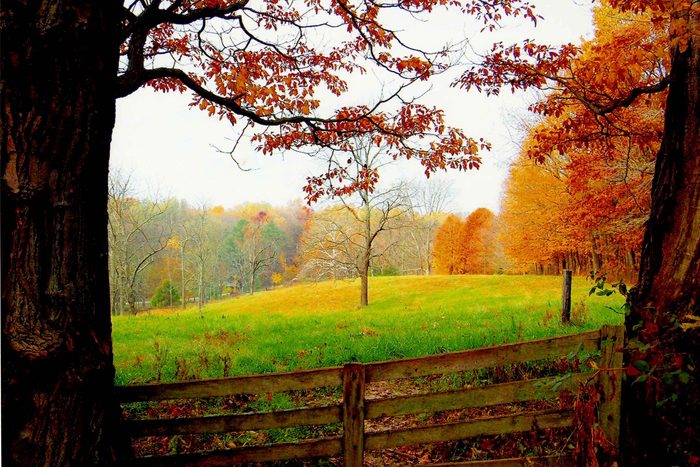 Fall in Indiana