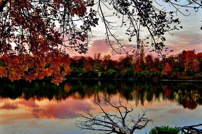 Fall in Iowa