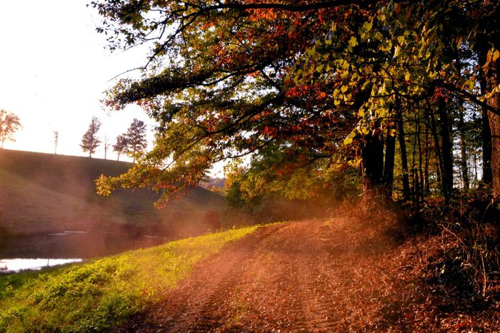 fall in Kentucky