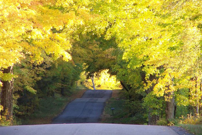 fall in new york