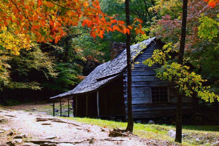 fall in tennessee