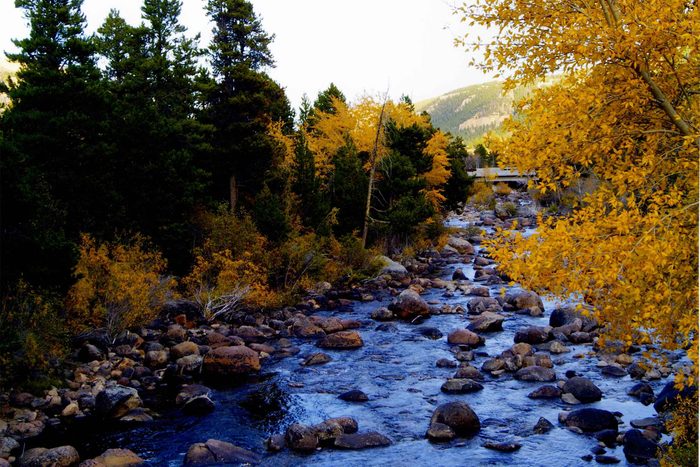 fall in wyoming