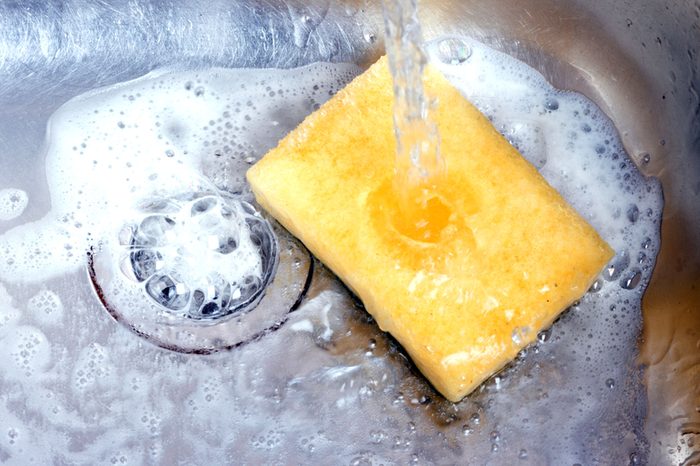 sponge