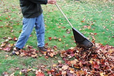 raking