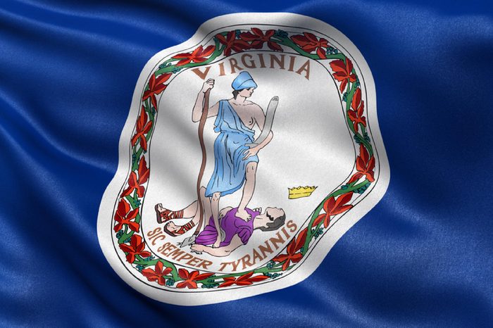 US state flag of Virginia with great detail waving in the wind.
