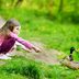 This Is Why You Should Never, Ever Feed Bread to Ducks