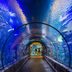 13 Things to Do in Las Vegas That Don't Involve Casinos