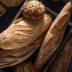 The Carbs You Should Never, Ever Cut from Your Diet
