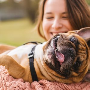 dog
