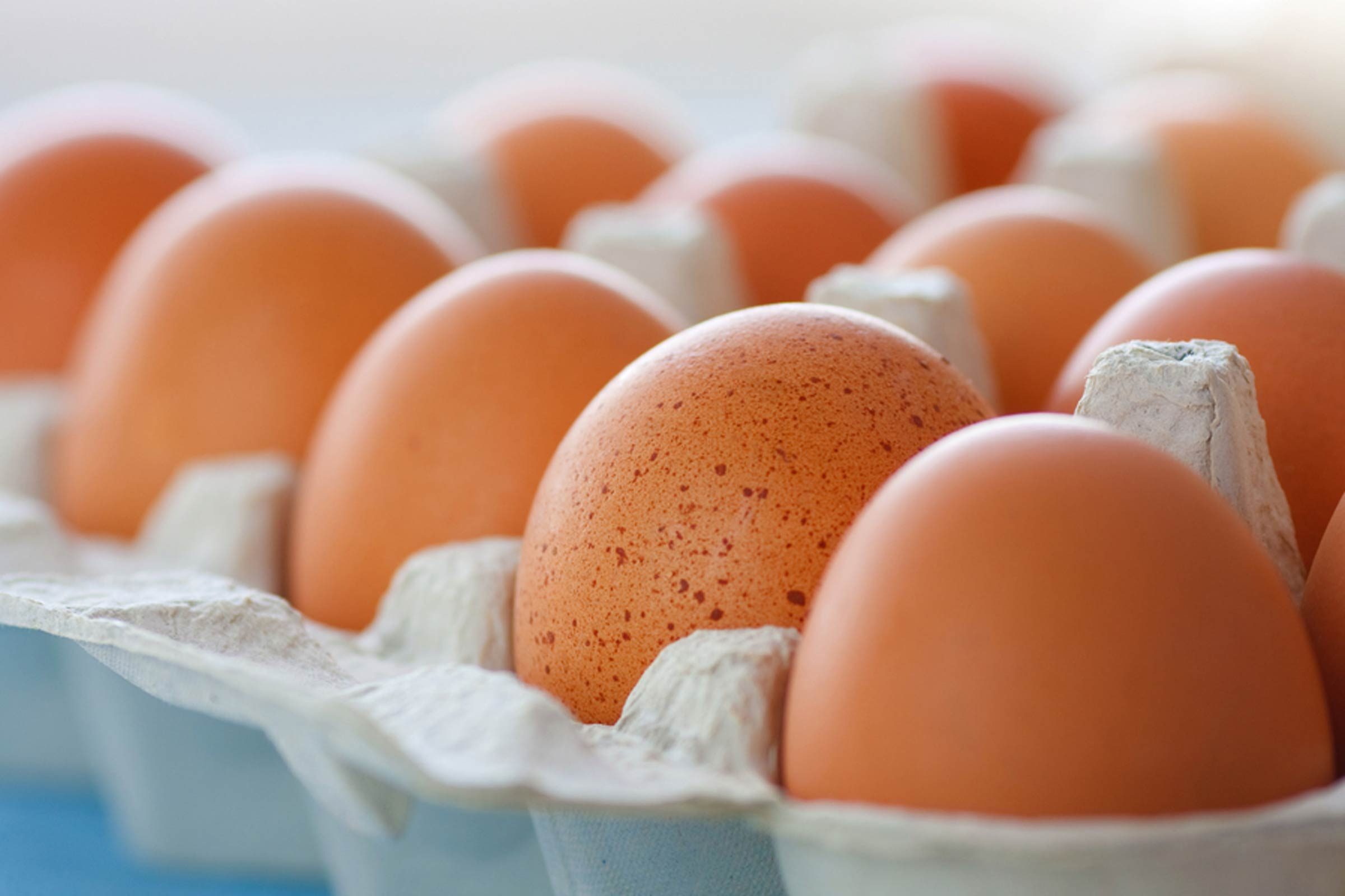 Why-You-Should-Never,-Ever-Keep-Your-Eggs-In-This-One-Part-of-the-Fridge_49360996_straga