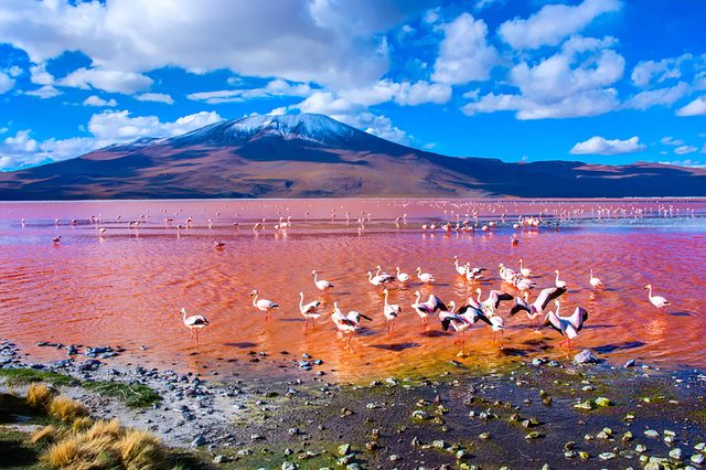Pink-lakes