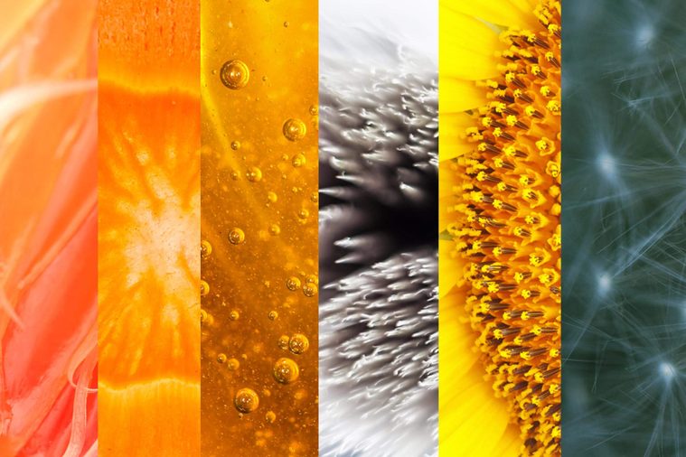 Can-You-Identify-Everyday-Objects-By-These-Close-Up-Pictures