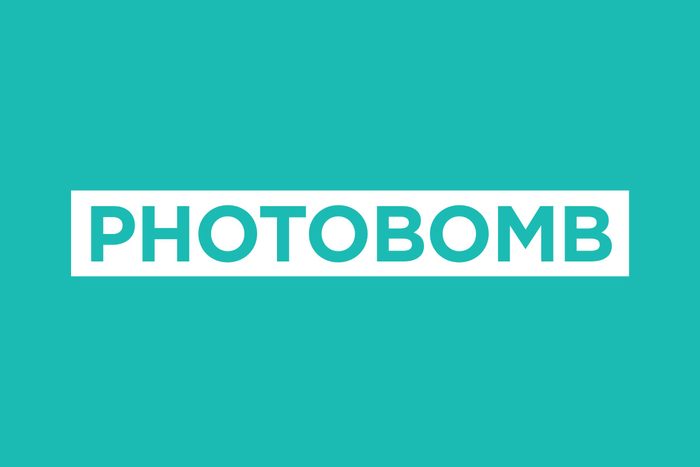 surprising-origins-of-todays-most-popular-slang-words