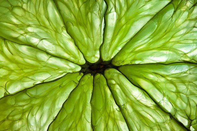 Limes