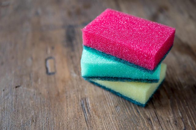 Sponges