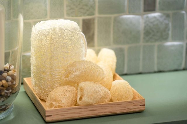 Loofa
