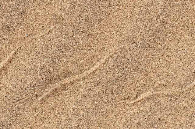 Snake-prints