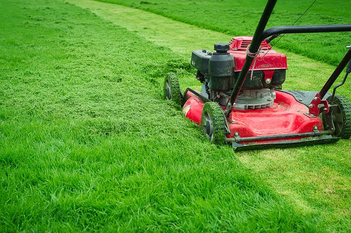 Lawn-moer