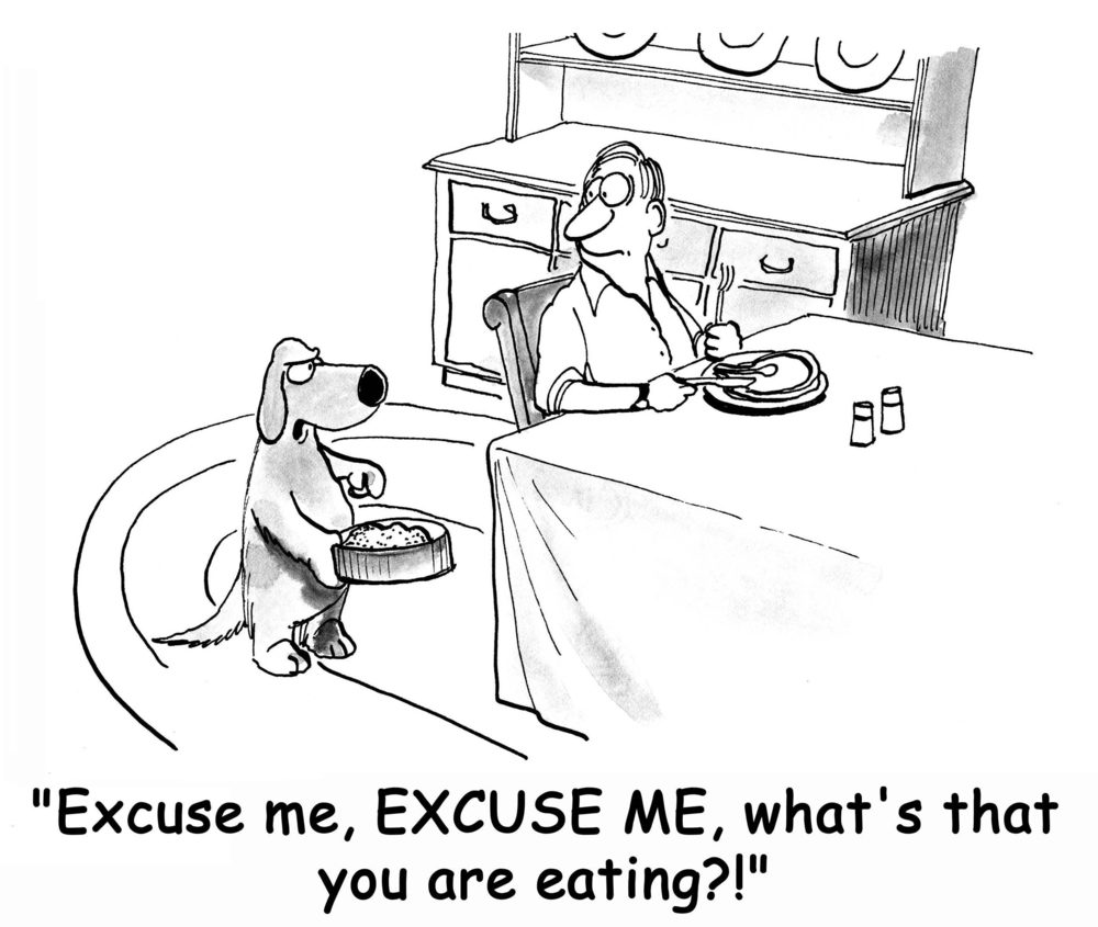 Dog stands questioning man eating at table; text reads, "Excuse me, EXCUSE ME, what's that you are eating?!"