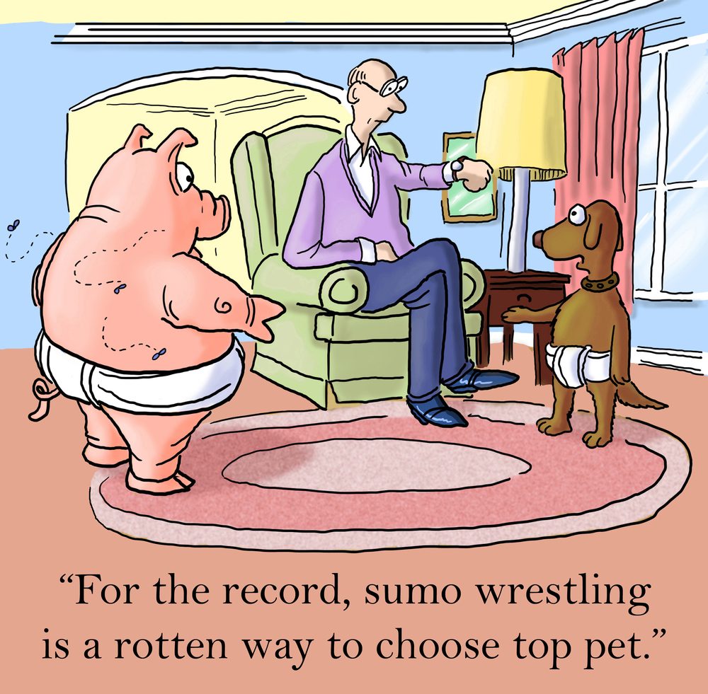 A pig and a dog wearing diapers stand before a man in an armchair, inside a living room. Text: â€œFor the record, sumo wrestling is a rotten way to choose top pet.â€
