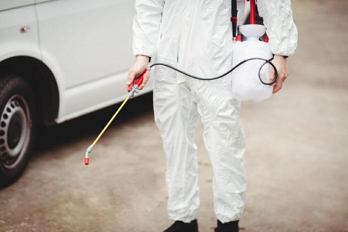 Handyman with insecticide standing in front of his van
