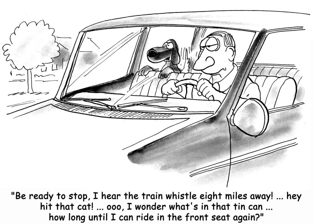 Man drives car with dog talking excitedly beside him; trees visible outside. Text: Dog humorously comments on various distractions, expressing eagerness to be in front seat.