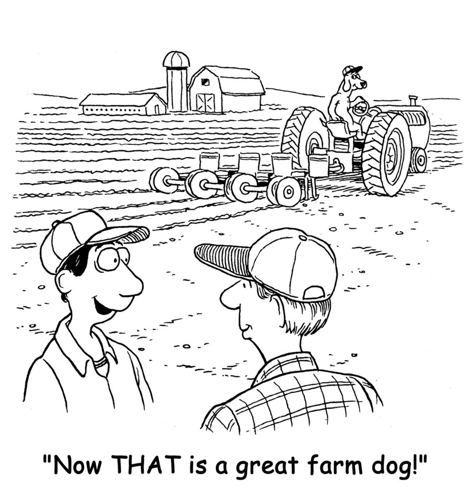 Dog drives tractor across field; two men watch and comment, saying, "Now THAT is a great farm dog!" Barns visible in distance.