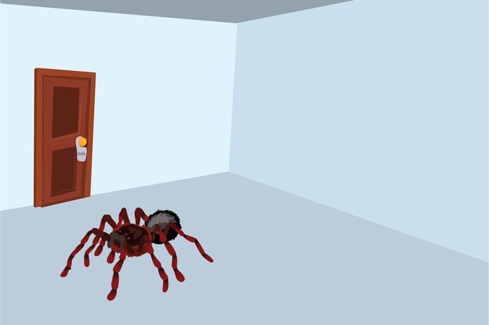 Craziest-Things-People-Have-Seen-in-Hotel-Rooms
