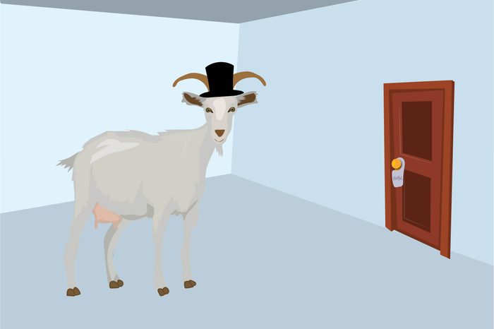 Craziest-Things-People-Have-Seen-in-Hotel-Rooms