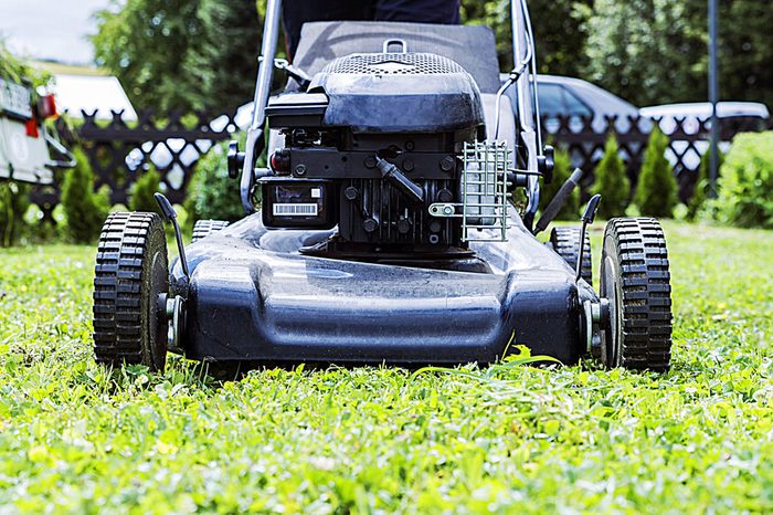lawnmower closeup, mowing the lawn in the garden of the house