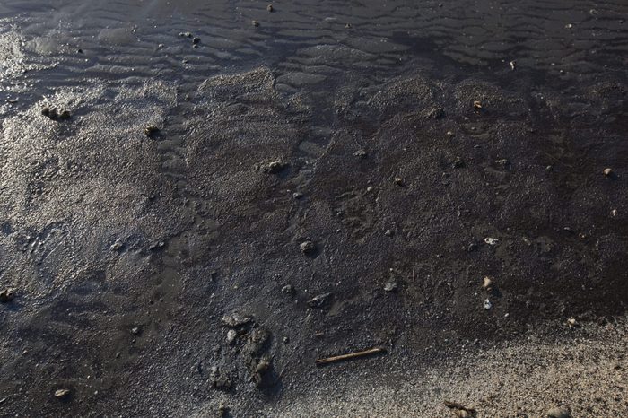oil spill
