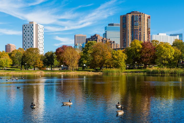 This is Loring Park in Minneapolis, Minnesota. This shows part of the skyline. This was taken during autumn. These are Canadian Geese on the lake. 