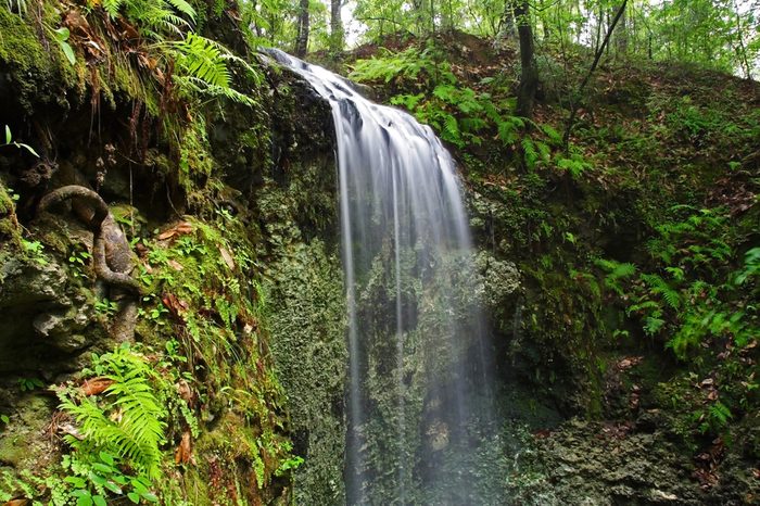 Falling Waters State Park in Northern Florida