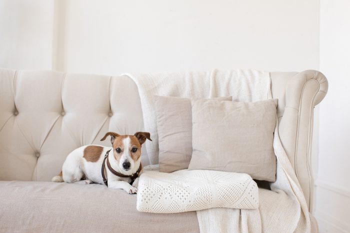 don't put form above function interior design ideas
