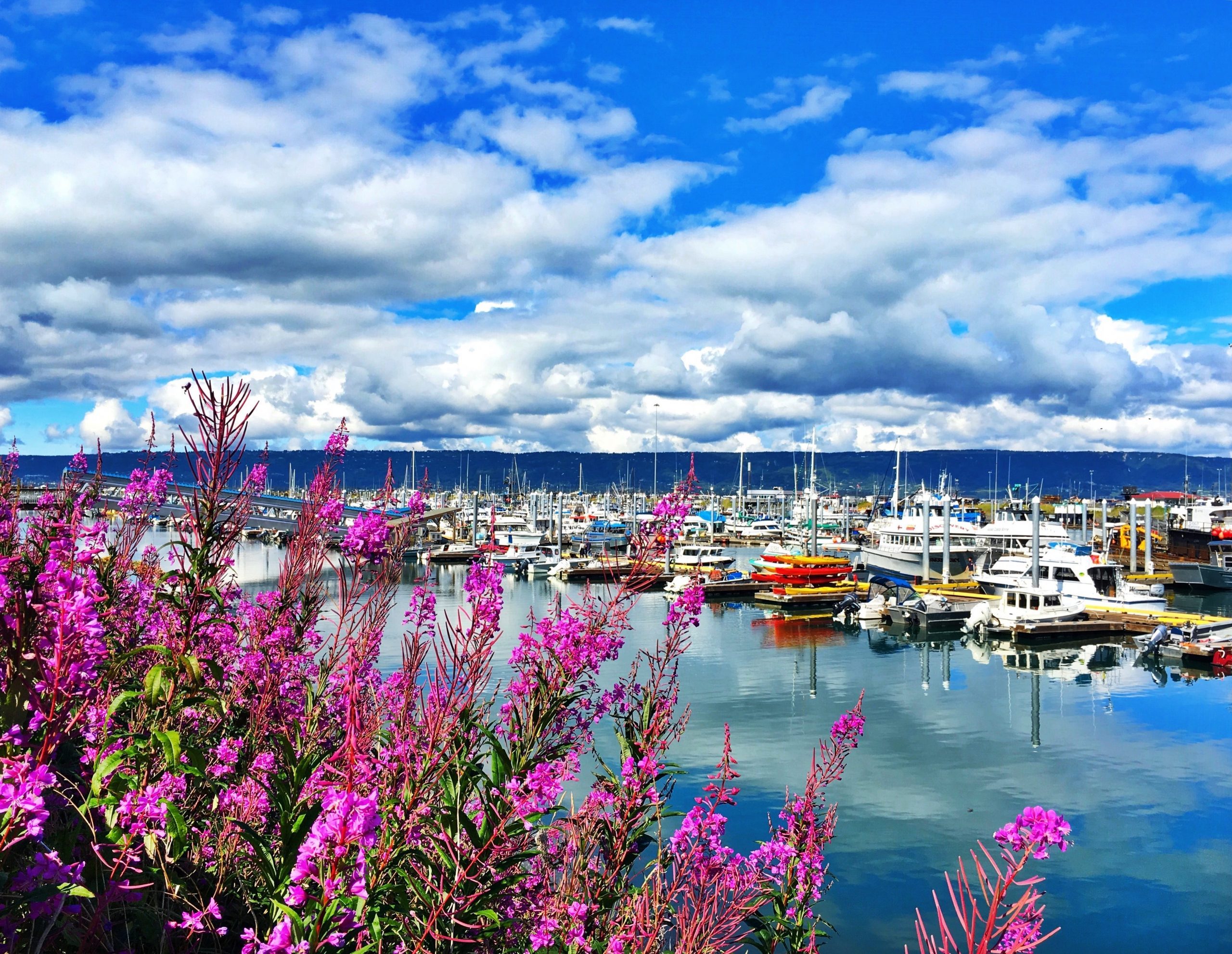 Homer, Alaska