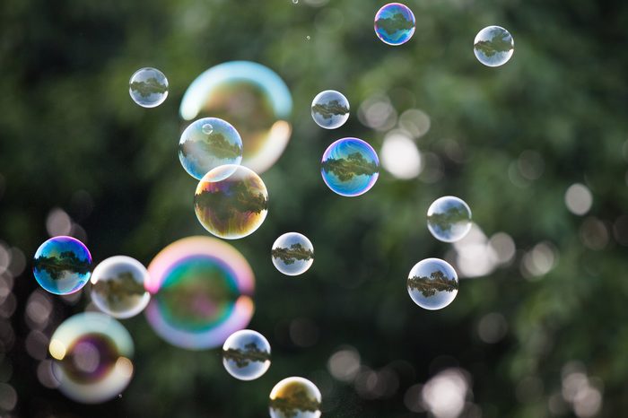Soap Bubbles in front of the forest