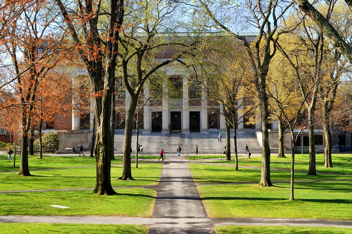 College campus in the spring