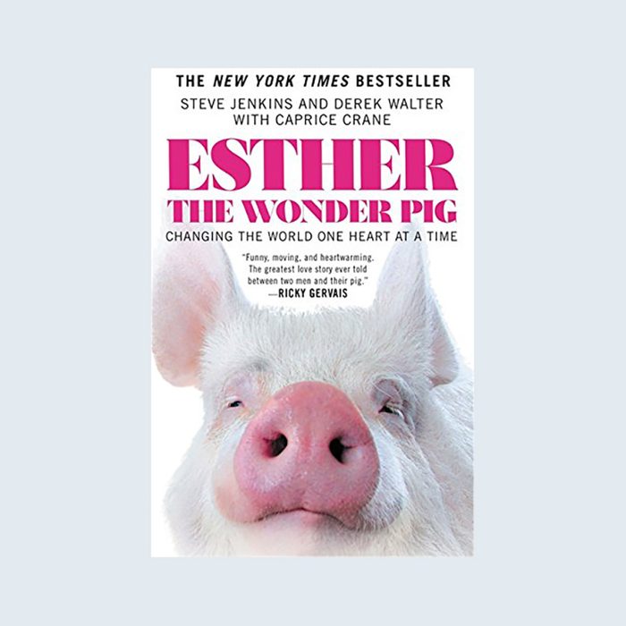 Pig face fills book cover; titled â€œEsther the Wonder Pig,â€ promising heartwarming stories. Authored by Steve Jenkins, Derek Walter, with Caprice Crane.