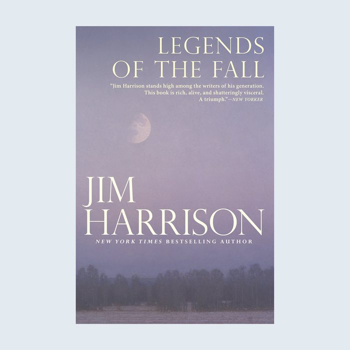 Book cover displays text: 