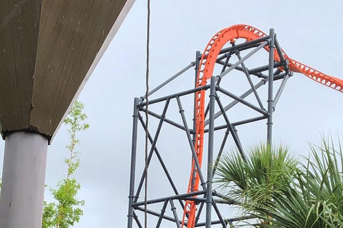 Florida: Tigris