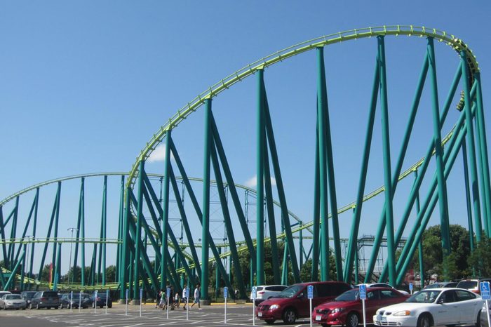 Minnesota: Wild Thing